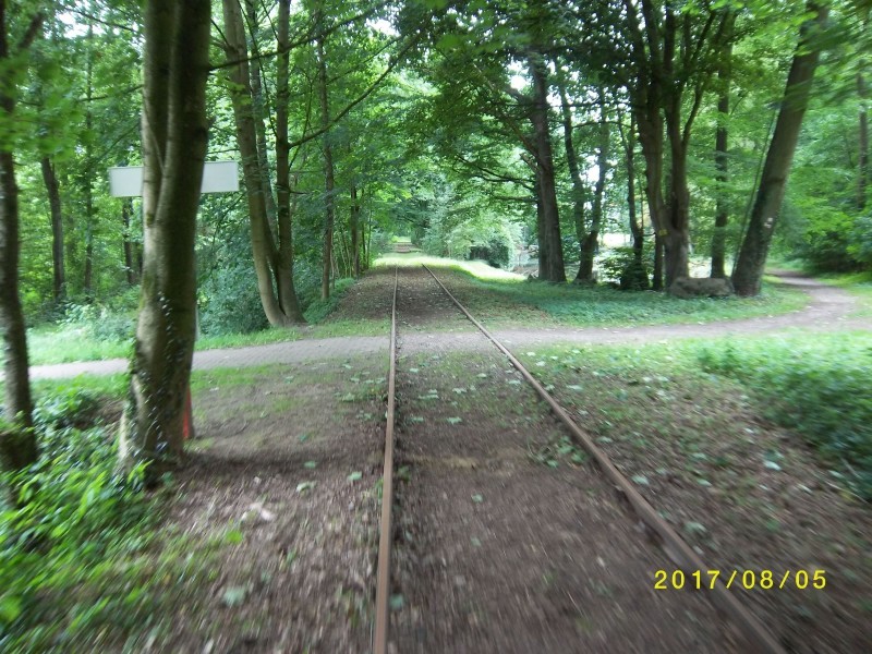 ZWNEGI9